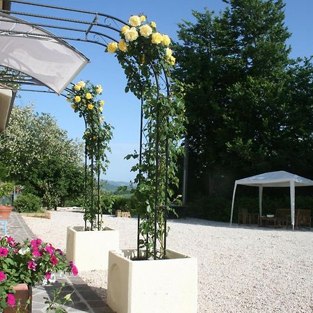 B&B La Fenice Montegridolfo Kültér fotó